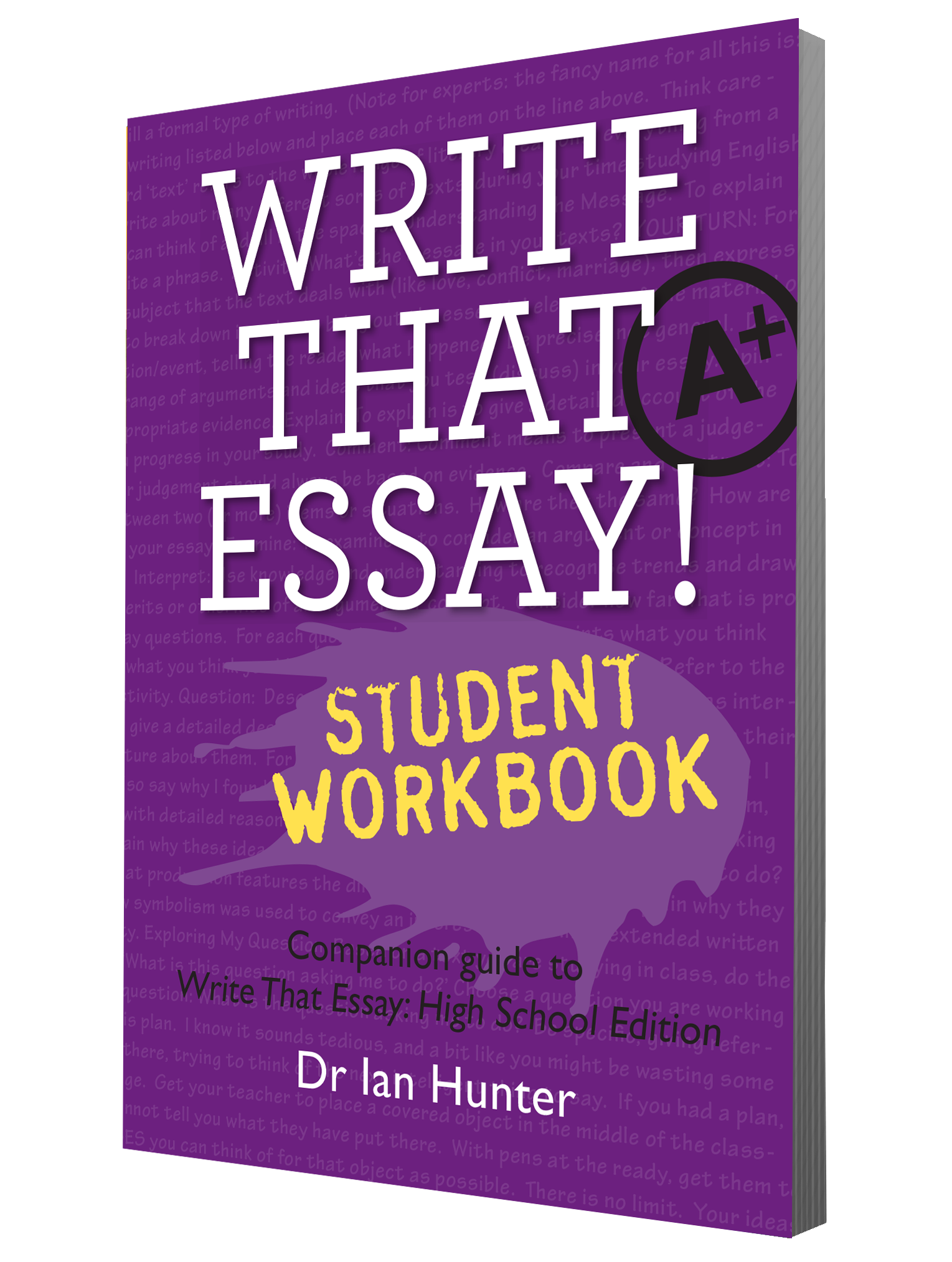 writer's toolbox write that essay